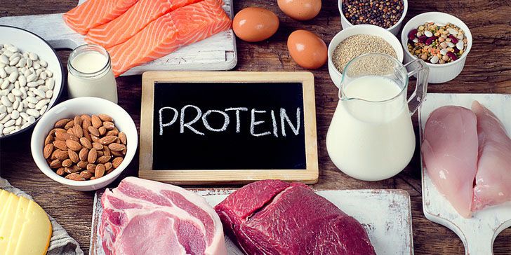 Protein