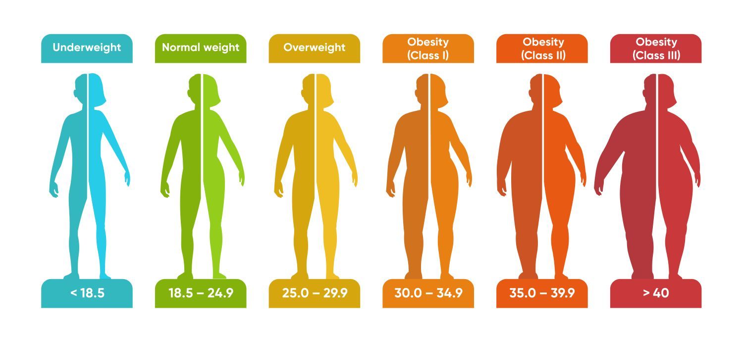 Body Mass Index (BMI)