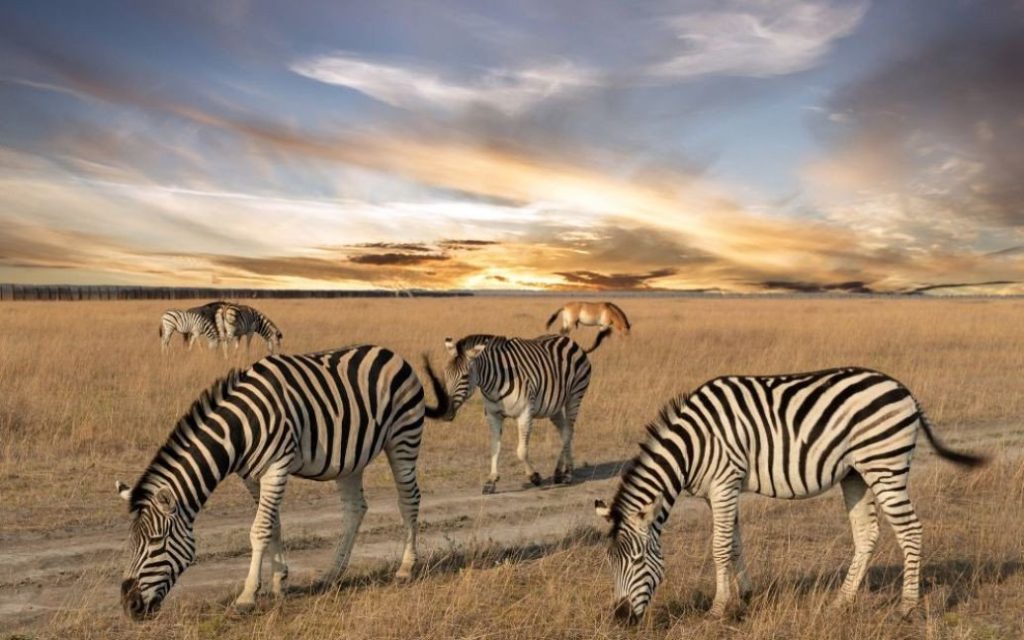 Ukraine: The Pearl of Eastern Europe Between Nature and History