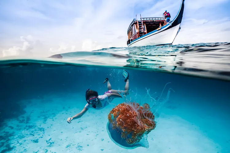 Activities in the Maldives
