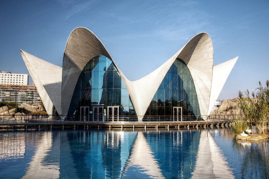 Valencia: The Jewel of the Spanish Coast 