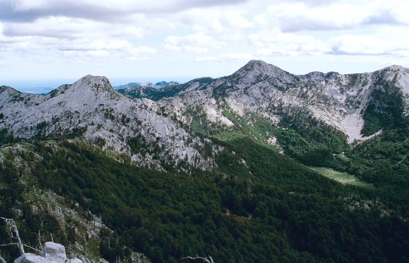 Bosnian Mountains
