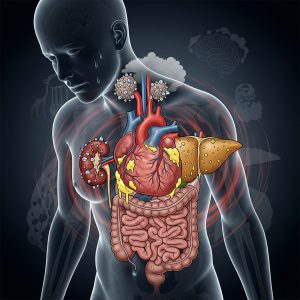 A conceptual illustration on overall health, showing a semi-transparent human figure with visual symbols representing nutrient deficiencies, muscle loss, digestive issues, and hormonal imbalances.