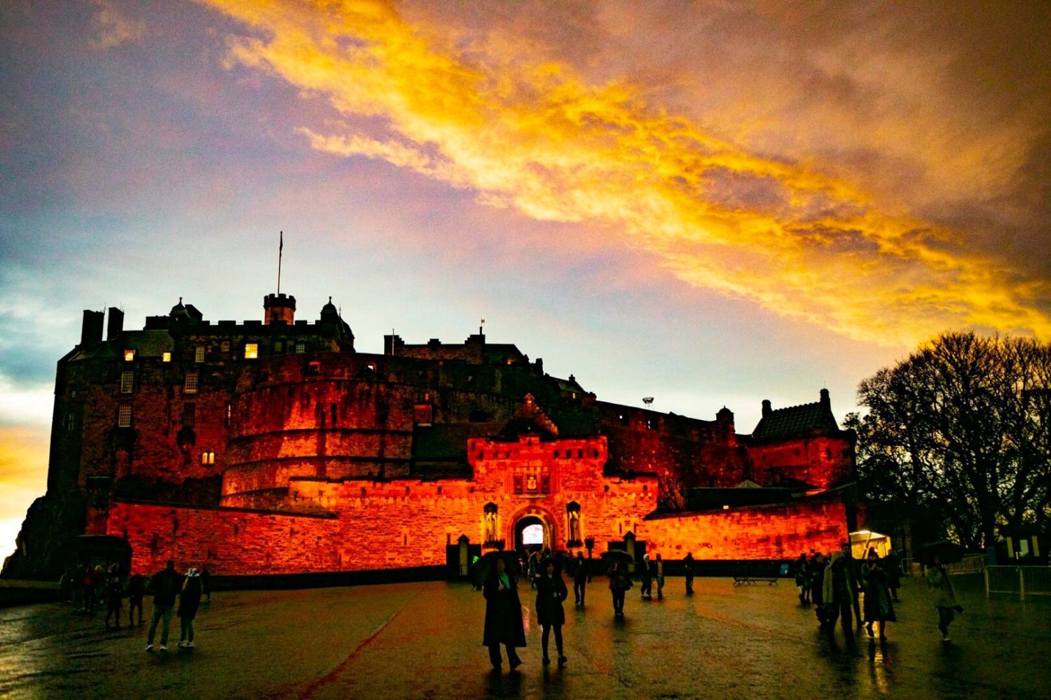 Nature Around Edinburgh… Irresistible Charm