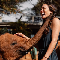 Top Attractions in Nairobi