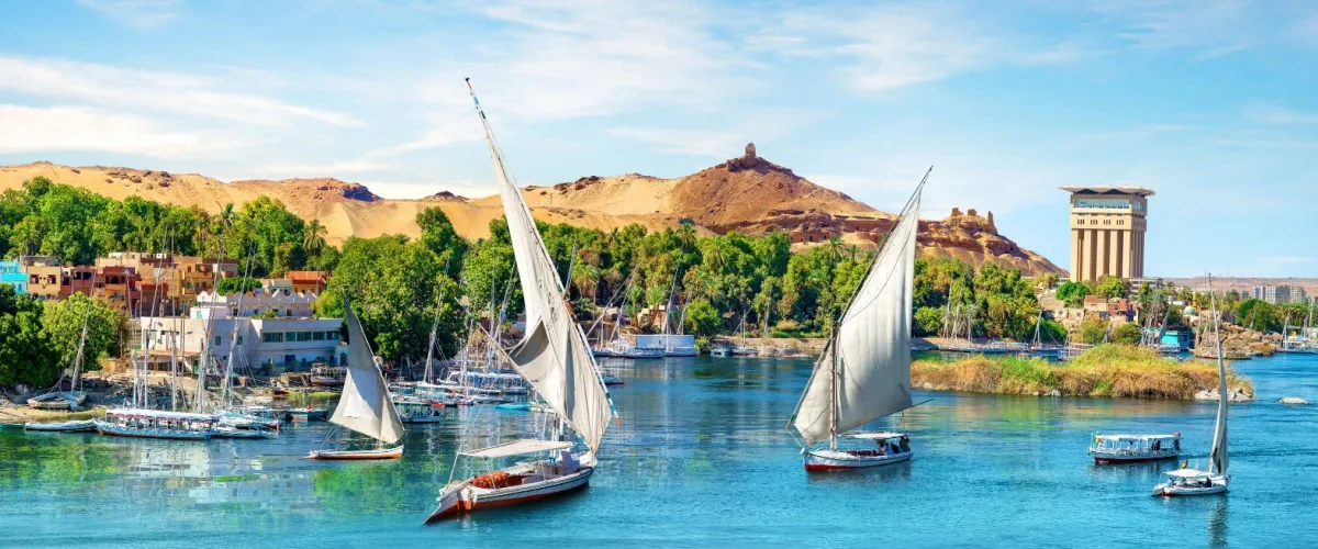 Aswan Nature