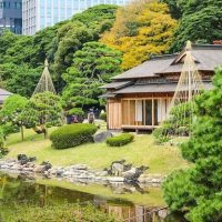 Nature in the Heart of the City