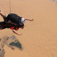Feel the Adrenaline Rush