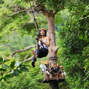 Adventures and Activities