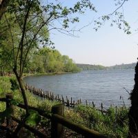 Green Escapes: Nature in the City