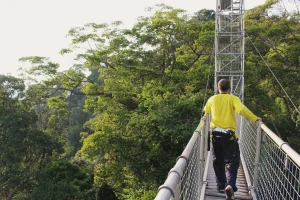 Ulu Temburong National Park – Brunei’s Green Paradise