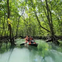Adventures in Nature