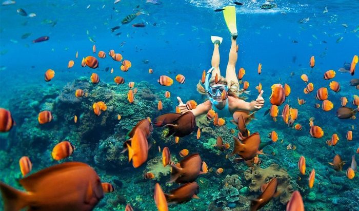 Coral reefs