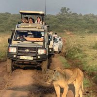 Why Nairobi is a Unique Destination