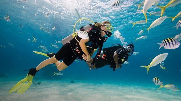 Blue Bay Marine Park – A Diver’s Dream