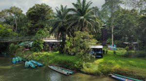 Rainforest Lodges and Eco-Tours