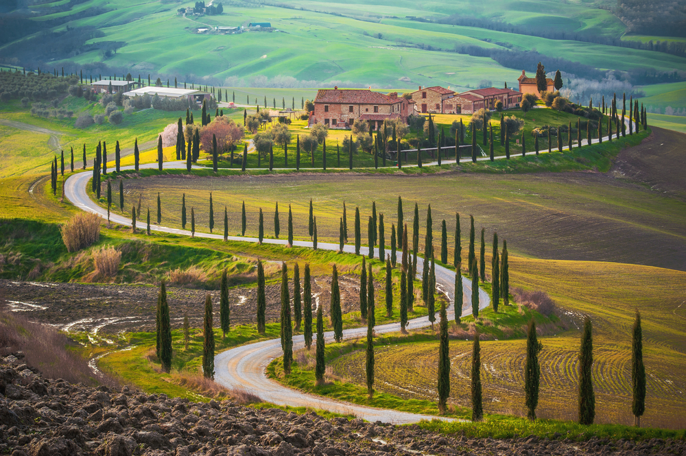 Tuscan Hills 