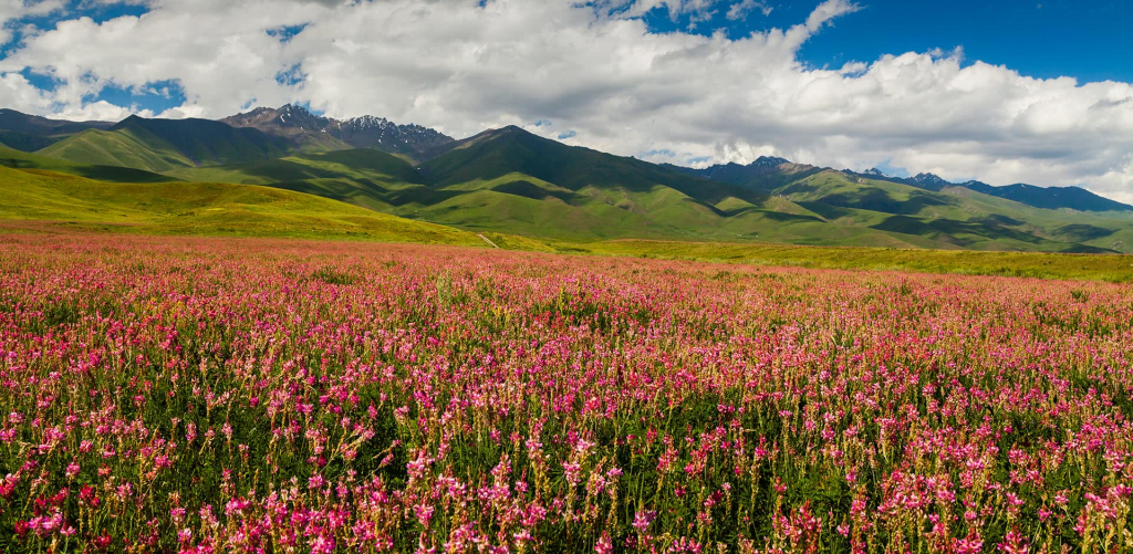 Kyrgyzstan