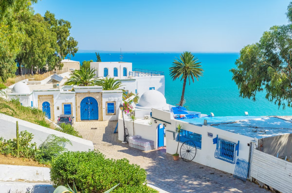 Tunis & Sidi Bou Said