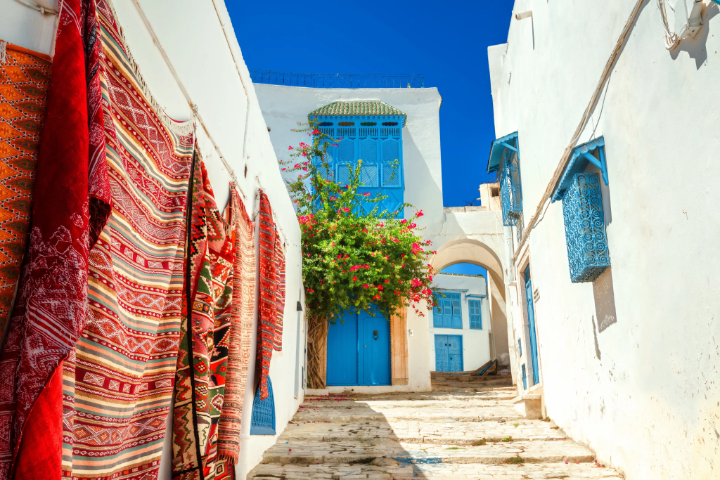 Fine Arts in Sidi Bou Said