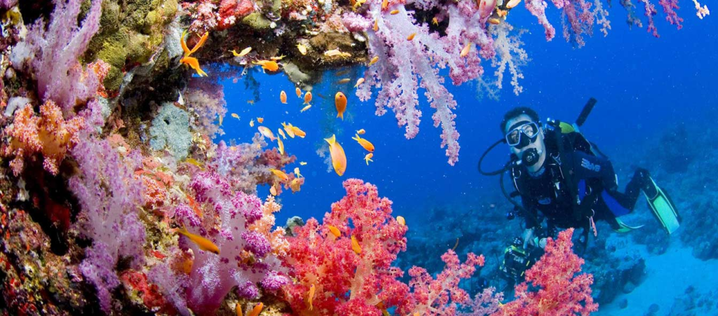 diving