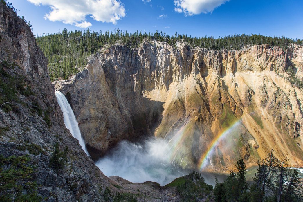Yellowstone nature