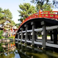 Festivals and Culture