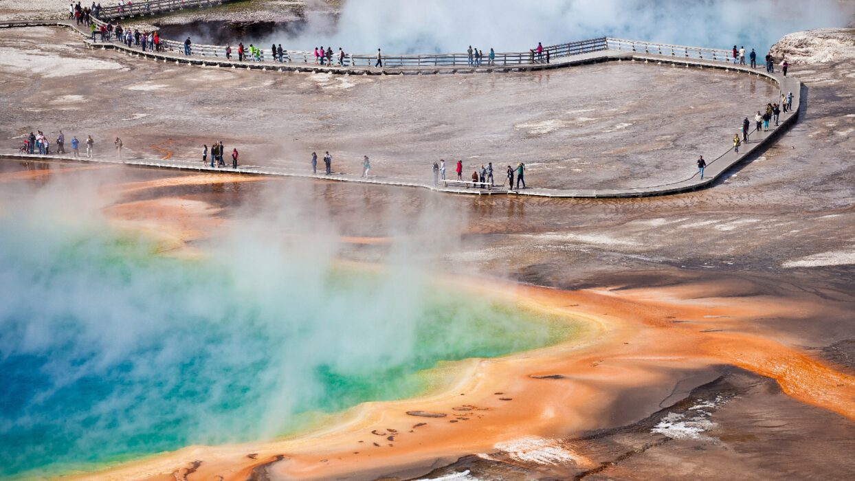 Yellowstone Park