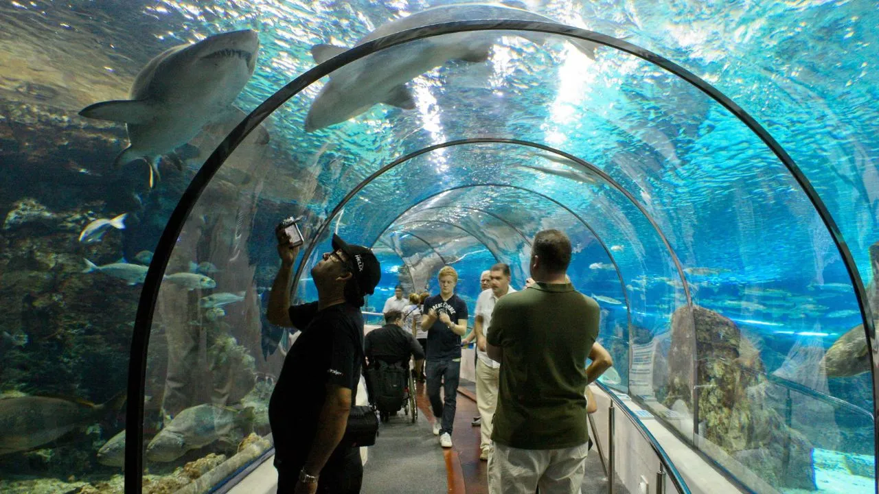 Aquarium fun