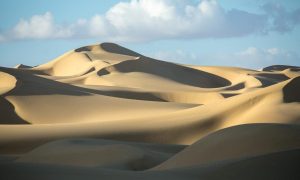 Desert Adventures and the Great Sand Sea