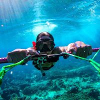 Activities and Entertainment