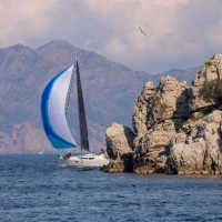 Festivals and Events