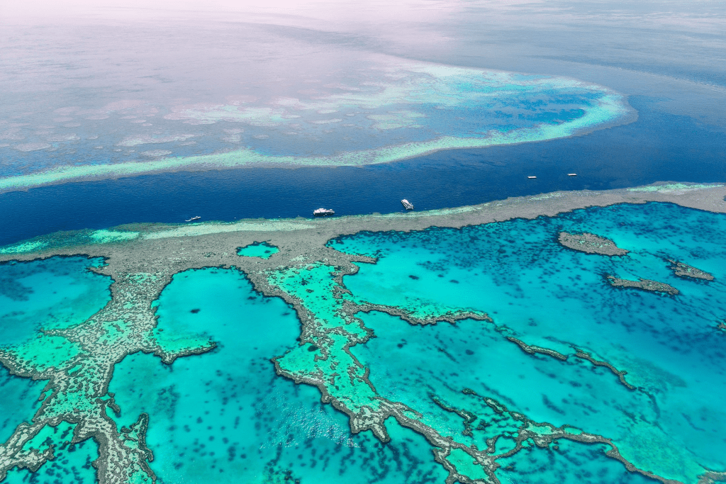 great barrier reef australia