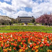 Art, Gardens, and Culture