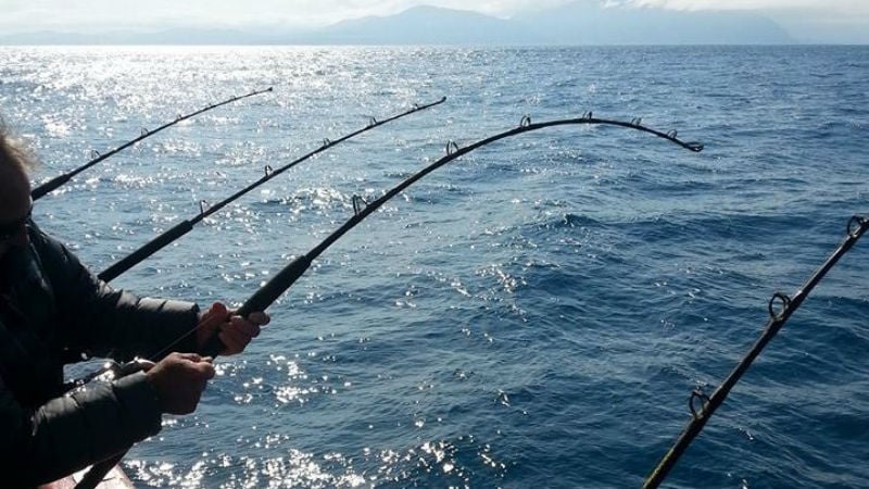 Fishing Trip