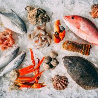 Culinary Experiences in Reykjavik