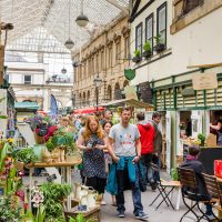 Markets, Festivals, and Nightlife