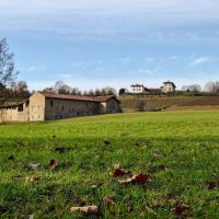 Nature and Outdoor Activities