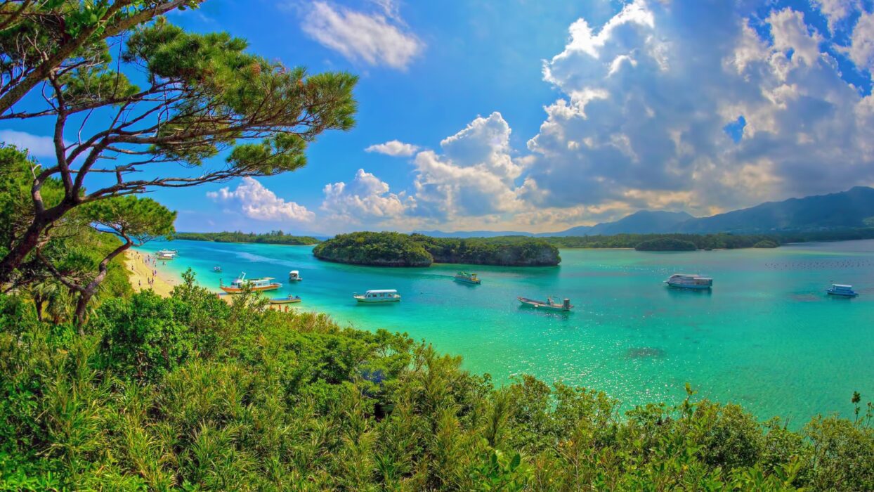 Okinawa Islands