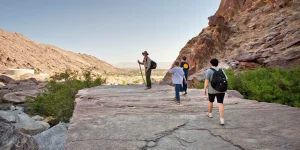 Adventure in the Desert’s Heart
