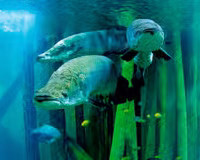 Unforgettable Experiences You Won’t Want to Miss