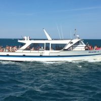 Outdoor Adventures and Day Trips