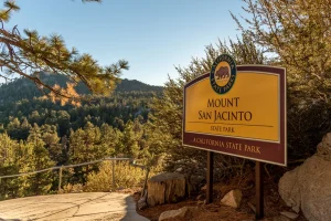 The Aerial Tramway: Ride to the Sky