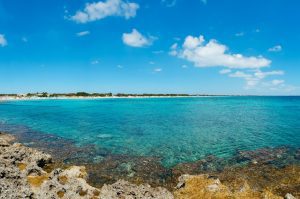 Coastal Adventures and Scenic Views