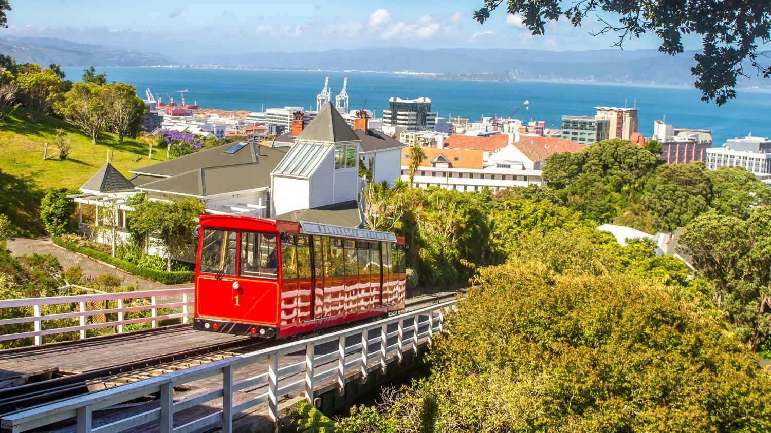 Wellington Coast