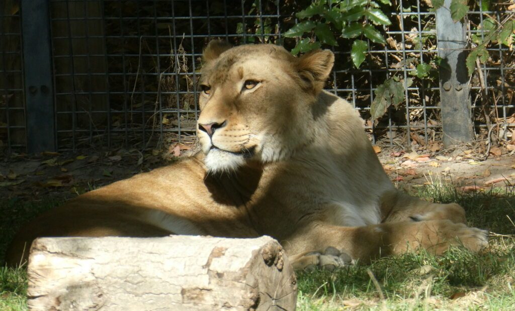 boise parks Zoo Boise