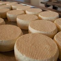 Minas cheese