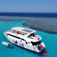 • Boat Trips