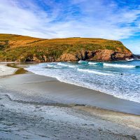 Dunedin’s Stunning Natural Beauty