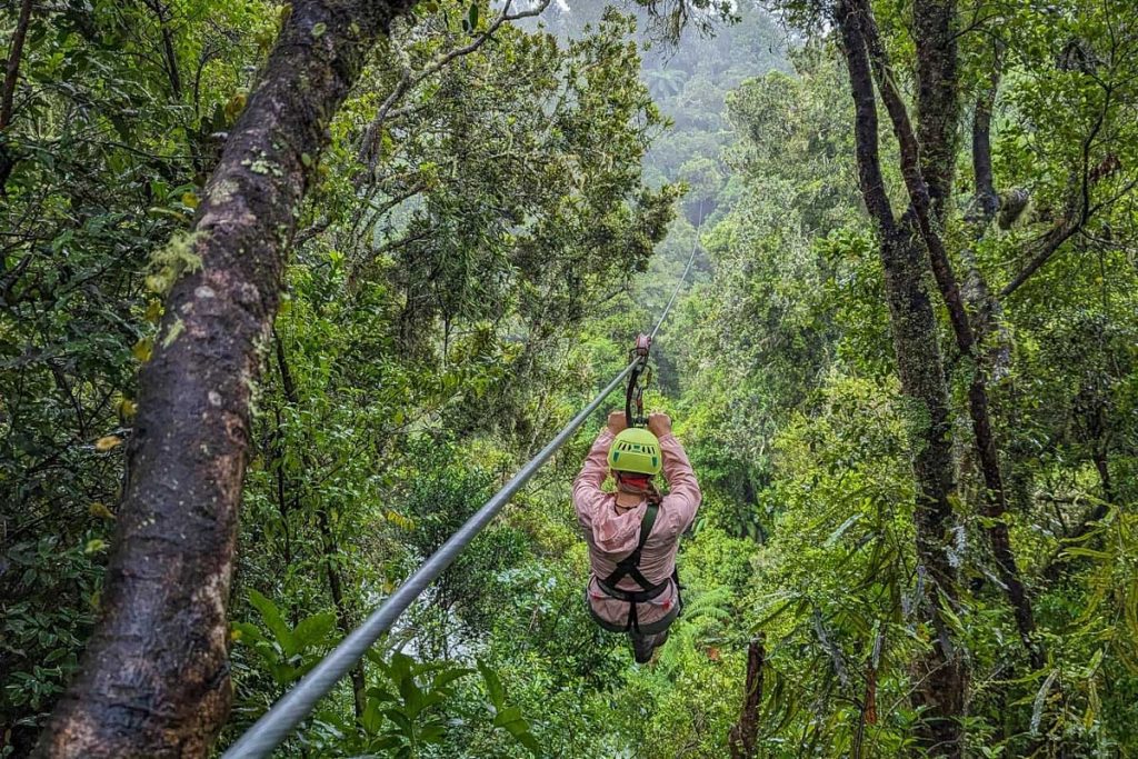 Ziplines